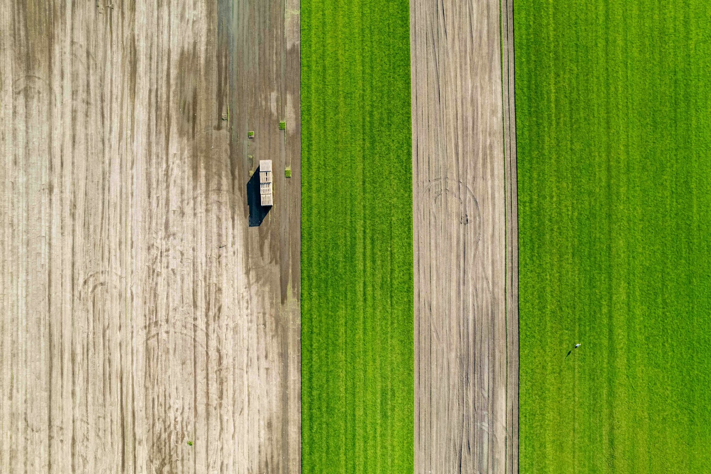 Aerial view of farmland parcels
